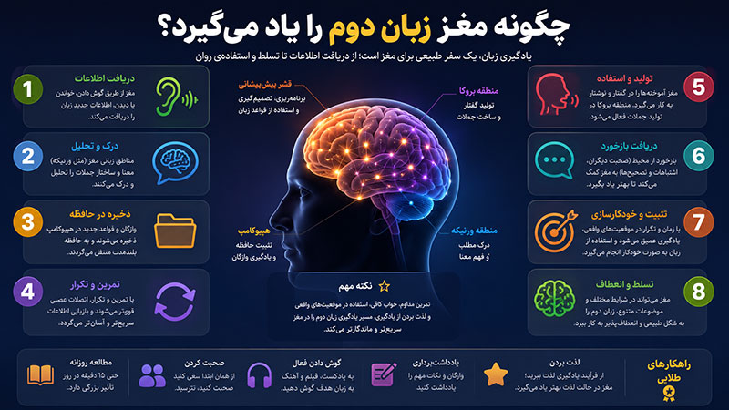 چگونه مغز زبان دوم را یاد می‌گیرد؟
